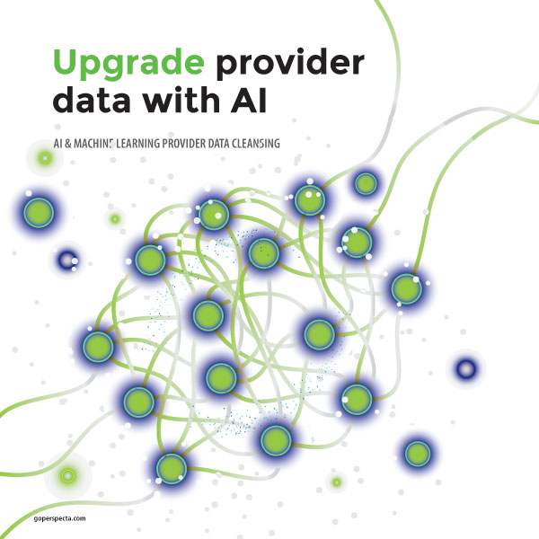 provider data cleansing brochure